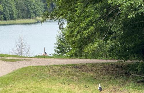 Błękit Jeziora - Foto 5