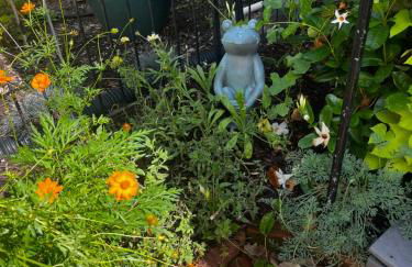 Walk to Everything Historic Arts District - Foto 6