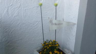 Brigitte Karst - Foto 4