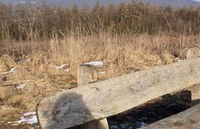 Ferienwohnung Zum Märchenwald - Foto 31