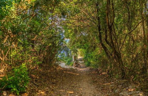 Awesome Home In Smokvica With Wifi - Foto 20