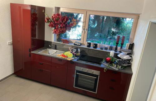 Limes Apartment -übernachten am Limes- - Photo 7