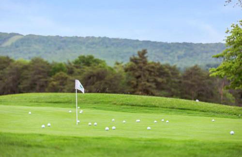 Golf Course Views w Fireplace & Resort Amenities - Foto 41