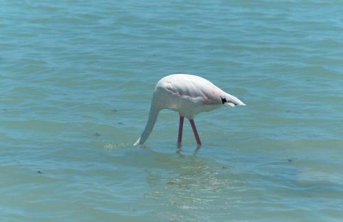 Apartment Golden Luna - Foto 49