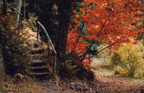 La Casa di Adelina - Foto 25