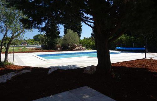 Olive Apartments - Photo 72