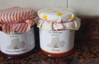 Casa de Aldea La Jaya II - Foto 13