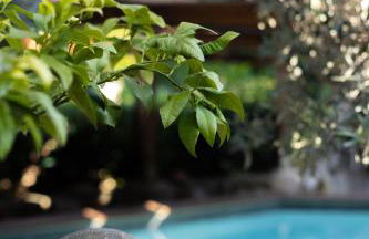 Therme Appiae - Foto 27