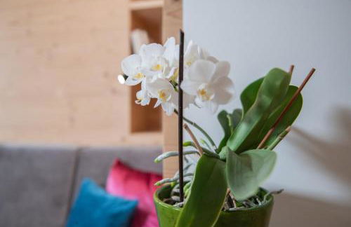 Apartments Corcela - Foto 15