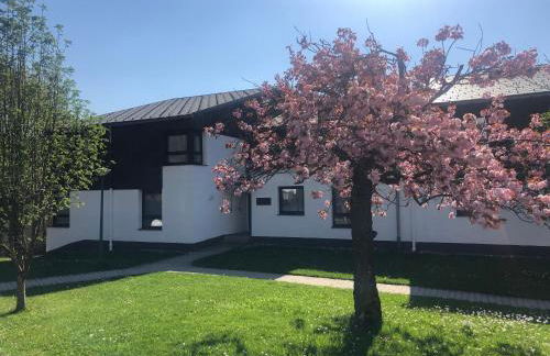 Apartment BERGliebe - schnuckelig, ruhige und zentrale Lage - Foto 8