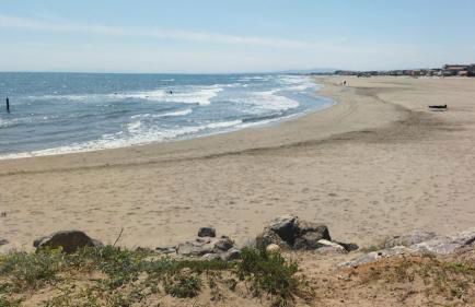 BAMBOU NATURE - Foto 22