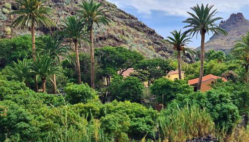 Haciendita Gomera - Foto 5