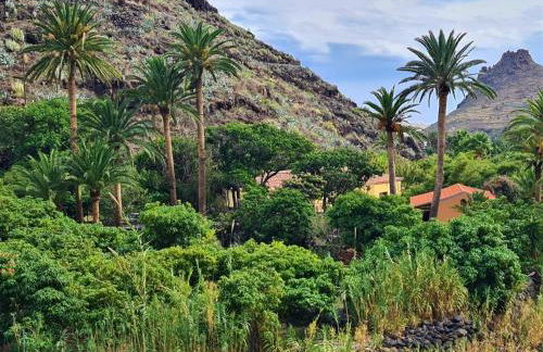 Haciendita Gomera - Foto 5