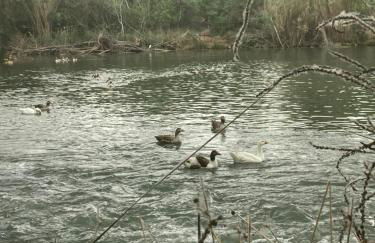 La Escapada - Foto 76