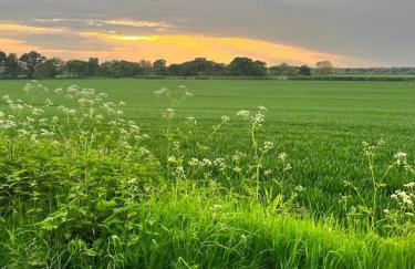 The Beautiful Barn - Foto 47