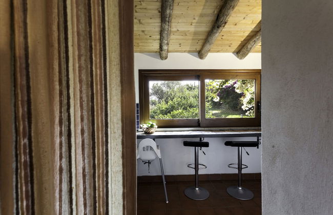 Agricontura - Foto 30