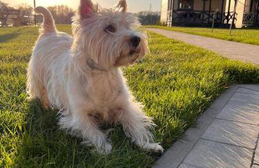 San Sebastian - domki nad morzem - Foto 17