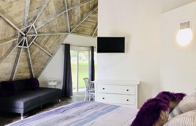 Studio 02 - Lake Sumner - Foto 3