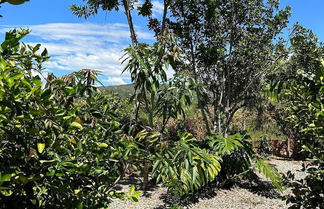 Casa Castañeto - Foto 20