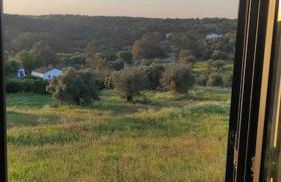 Nova Quinta Moderna TORRAMO em Oliveiras, Campo de Laranjas, na Nacional 2, Alentejo 13750 m2 - Foto 79