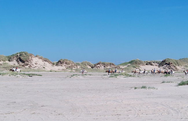 "Chrisse" - 550m from the sea - Foto 26