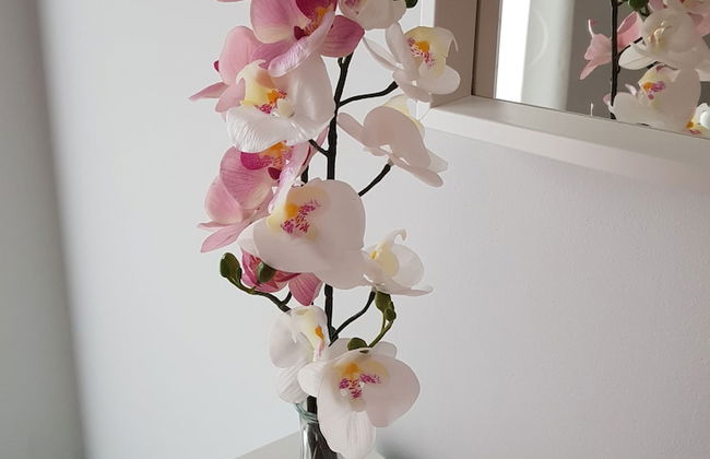 Las Brisas 33 - Foto 15