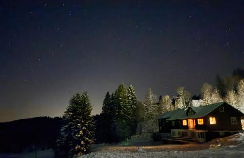 Mitten auf dem Feldberg Panorama Apartment Bergglück - Foto 6