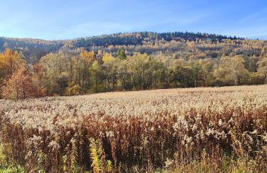 Sielanka, wyjątkowy dom, jacuzzi - Foto 57