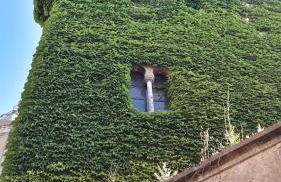 DIANA JARDÍN - Foto 24