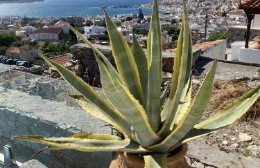 Aegean Panorama Hideaway & Pool in Samos - Foto 33