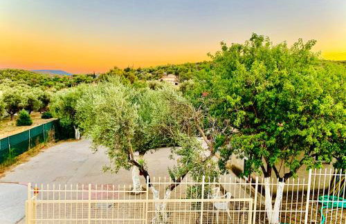 Apartments Tina FREE transfer from-to the airport - Foto 23