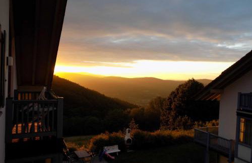 Ferienland Sonnenwald Fewo 46 - Foto 12