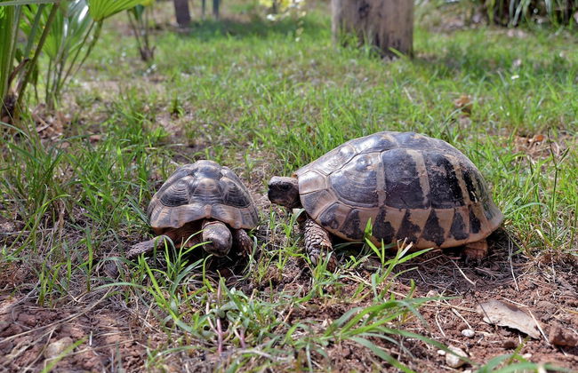 Apartments Mira 295 - Photo 72