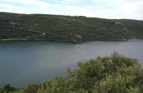 Apartment Asparagus - Photo 29