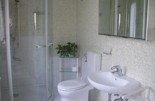 Bauernhofpension Büchsenschütz - Foto 73