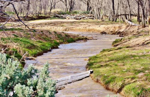 Arrowhead Country Cabins - Foto 13