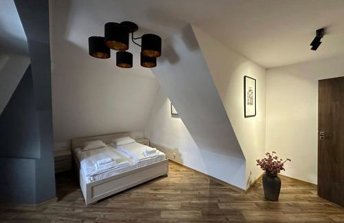 Nysa River Apartments Zgorzelec - Foto 31