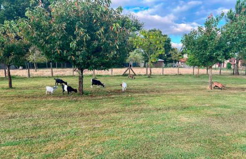 Lovely Home In Eyraud-Crempse-Maurens - Foto 17