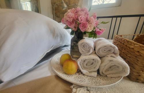 Villa AMore Radini Istrian antique stone house Studio with private parking and terrace - Foto 4