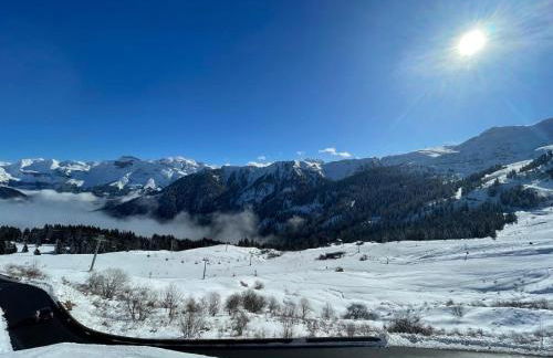 Appartement 4 personnes Samoëns 1600 - Photo 19