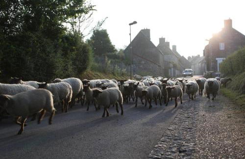 Superbe Maison en baie du Mont St Michel - Foto 33