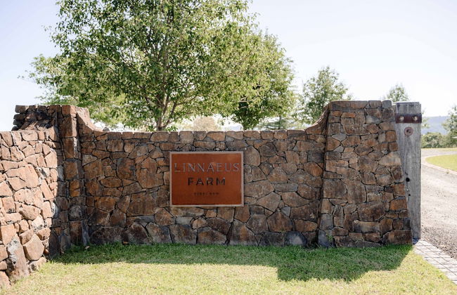 Linnaeus Suite, Berry - by Linnaeus Collection - Foto 27