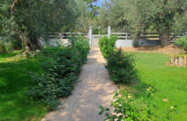 Bill's Garden Villa - Foto 44