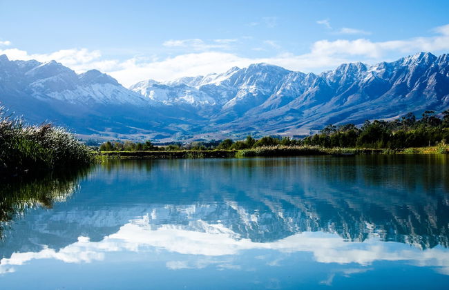 Reflections Guest Farm - Photo 68