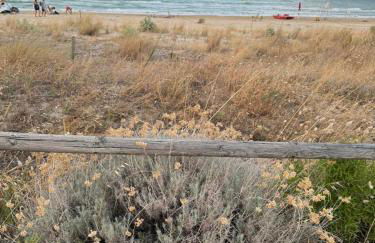 Casa Il Muro - Foto 22