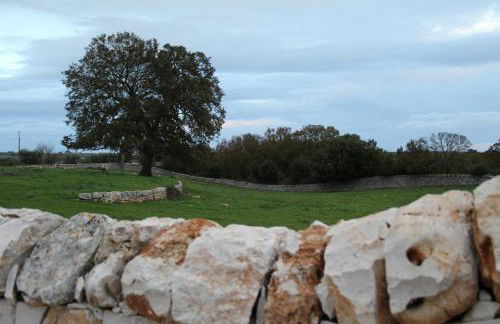 Agriturismo Laire Masseria - Foto 13