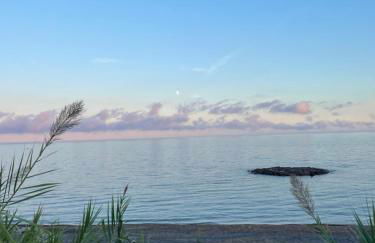 Casa del cardinale - Foto 52