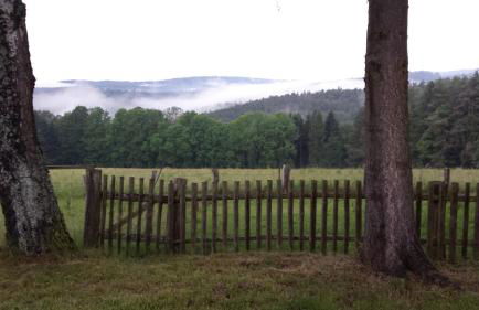 Ellernhof im Spessart - Foto 15