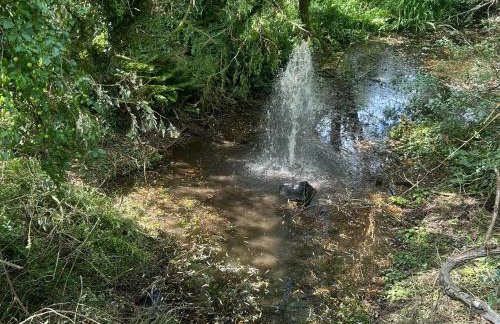 Mill View Duplex - Photo 54