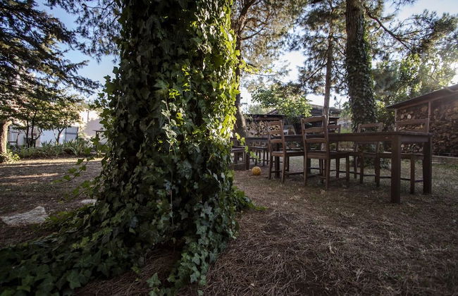 Masseria Citulo - Il Pino Grande - Foto 52